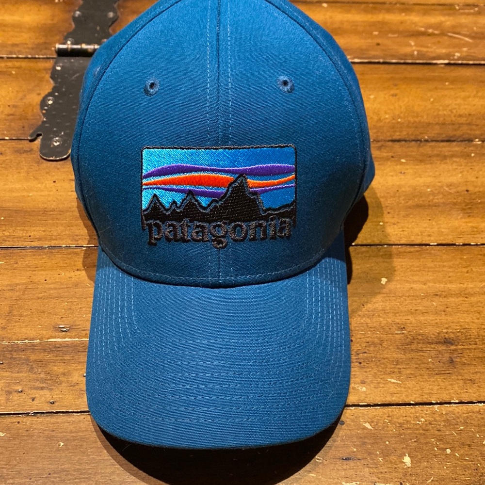 COPY - Patagonia baseball cap hat teal EUC